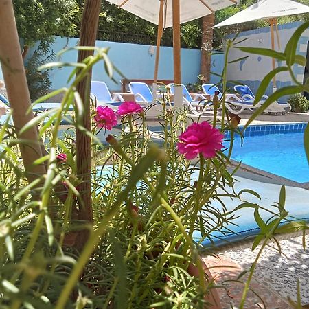 Luxor Palace Apartments Εξωτερικό φωτογραφία