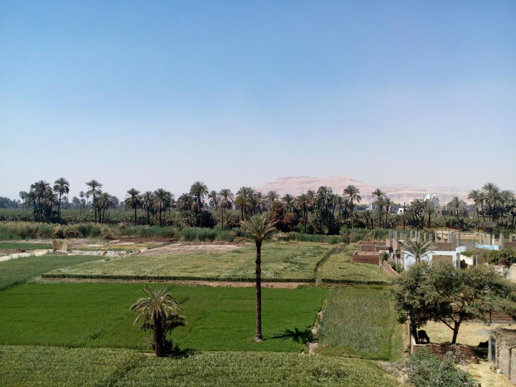 Luxor Palace Apartments Εξωτερικό φωτογραφία